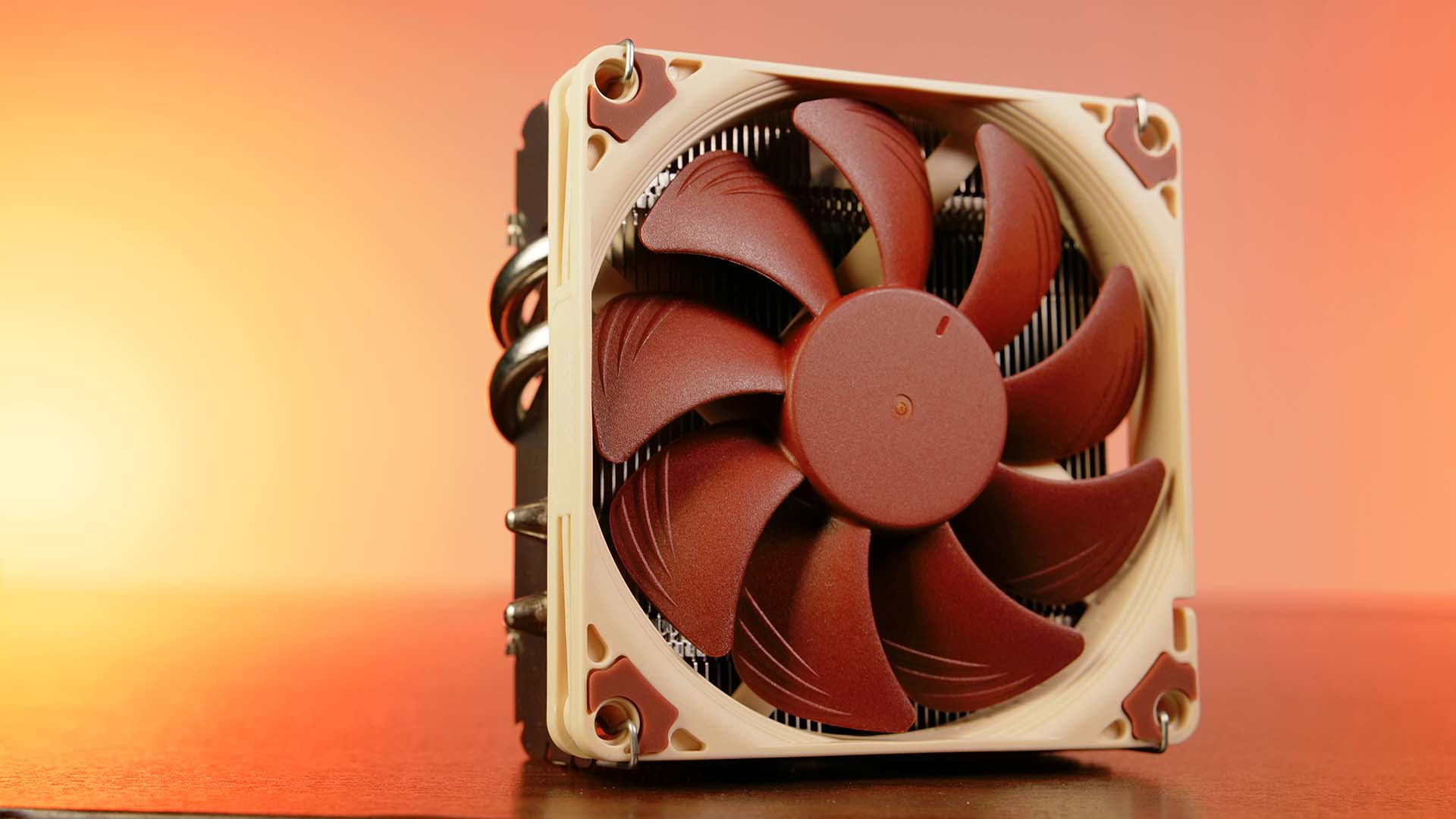 noctua-l9x65-design1