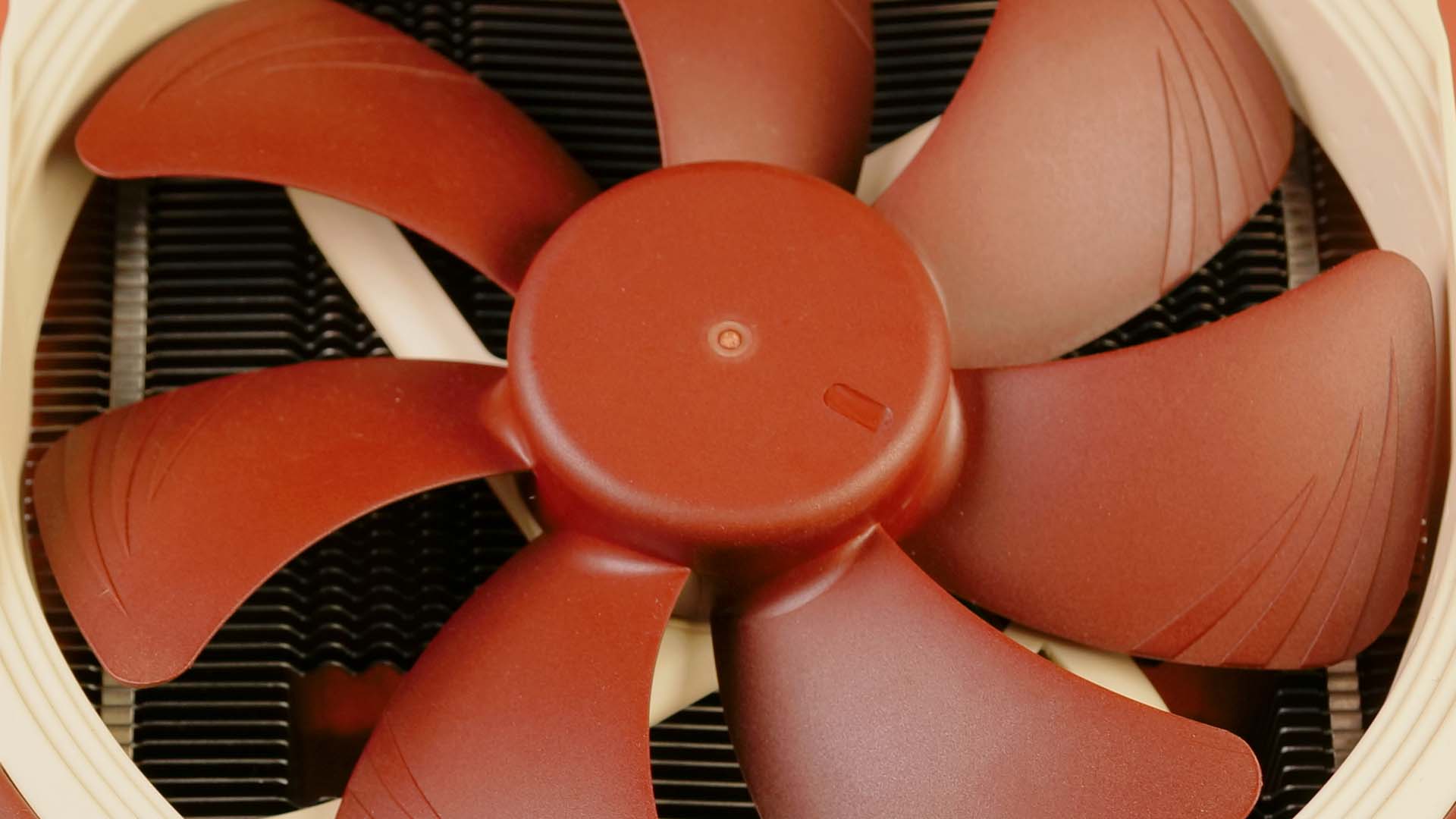 noctua-nh-c14s-fan2