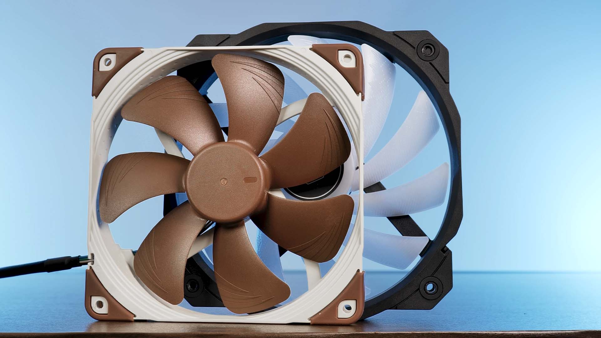 silverstone-sharkforce-160-vs-140