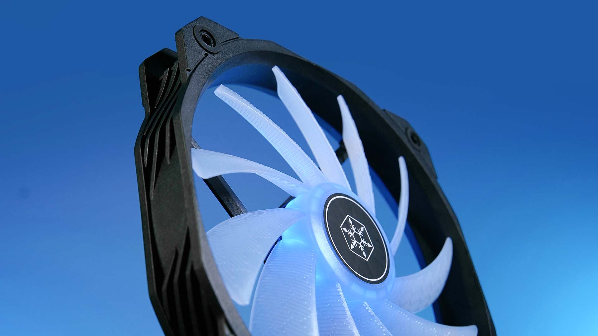 silverstone-sharkforce-160-design3
