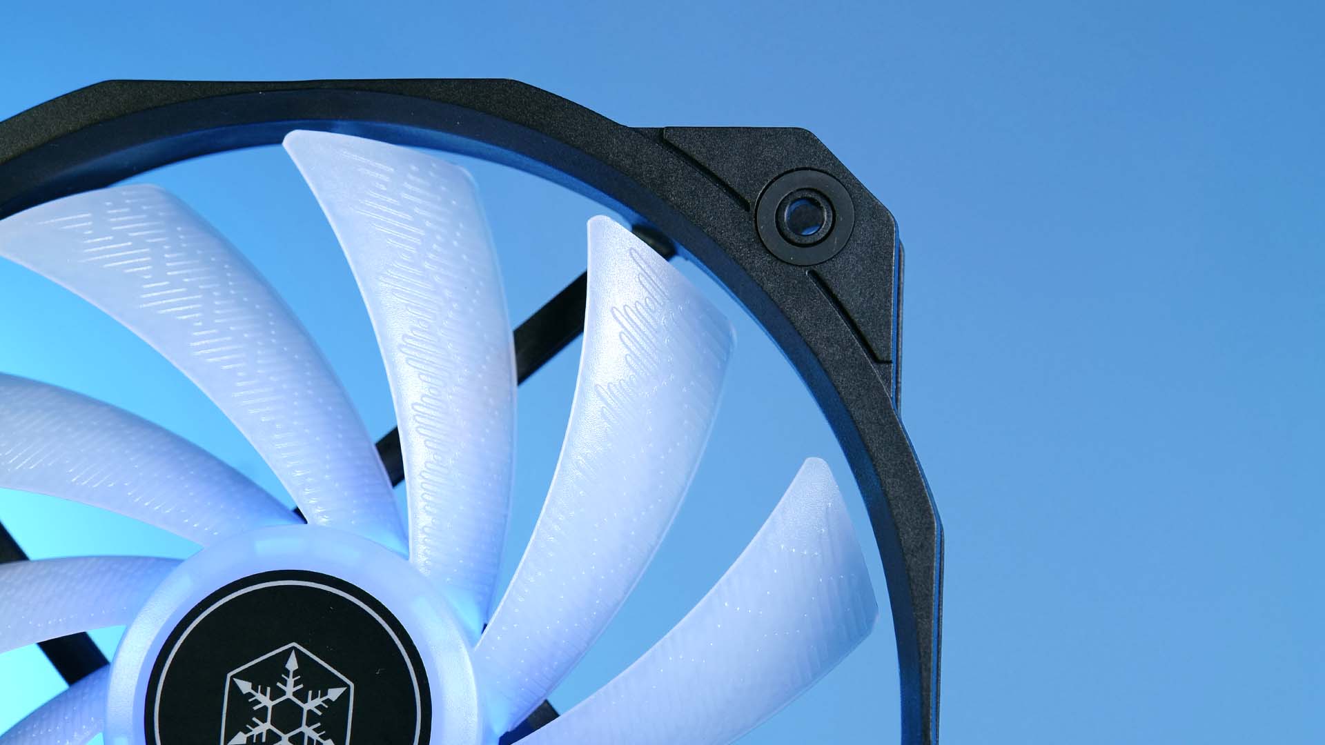 silverstone-sharkforce-160-design5